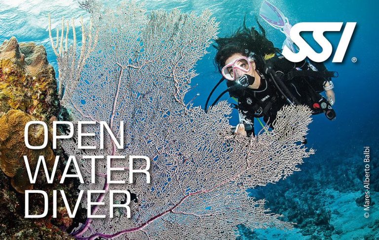 Open Water Diver (OWD)