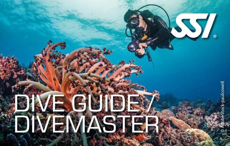 Divemaster