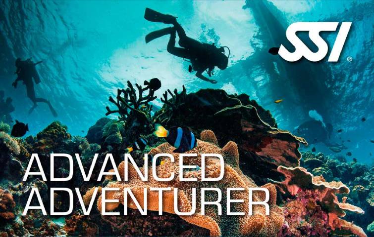 Advanced Adventure